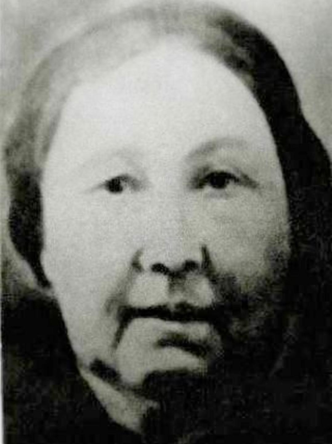 Sarah Ann Mode (1811 - 1882) Profile